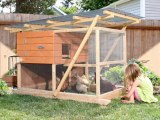 Build Chicken Coop
