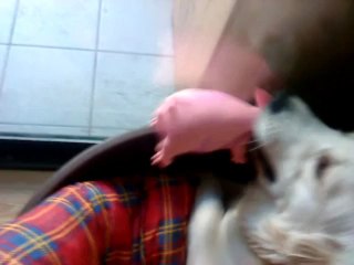 KYLIE Gruigruik zoom