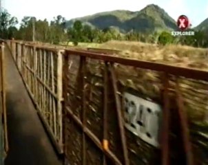 Velká Austrálie: Cukr (1/3)