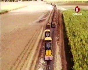 Velká Austrálie: Cukr (2/3)