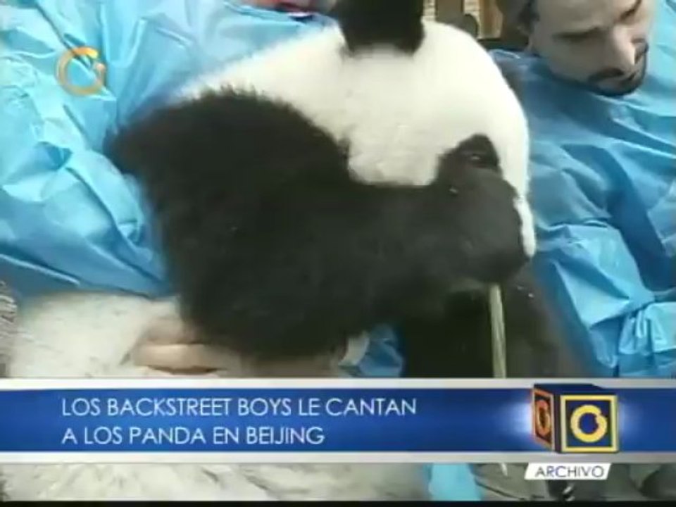 Los Backstreet Boys le cantan a los osos panda en Beijing