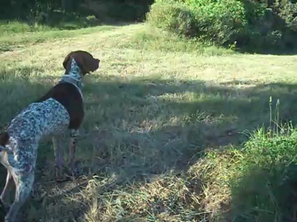 cirka cherche le lapin (2)