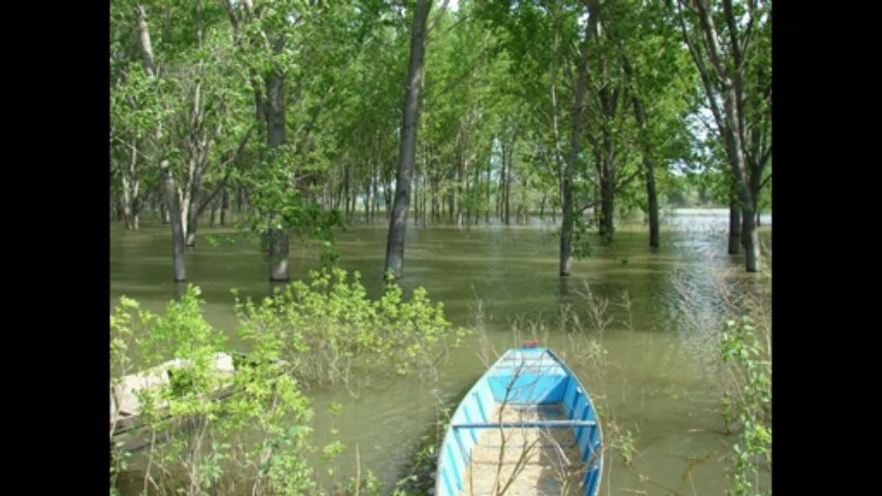 BAČKO PETROVO SELO - SLIDESHOW (MAJ)