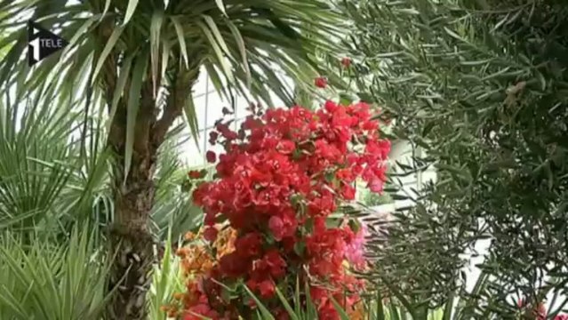 Serre géante au Grand Palais