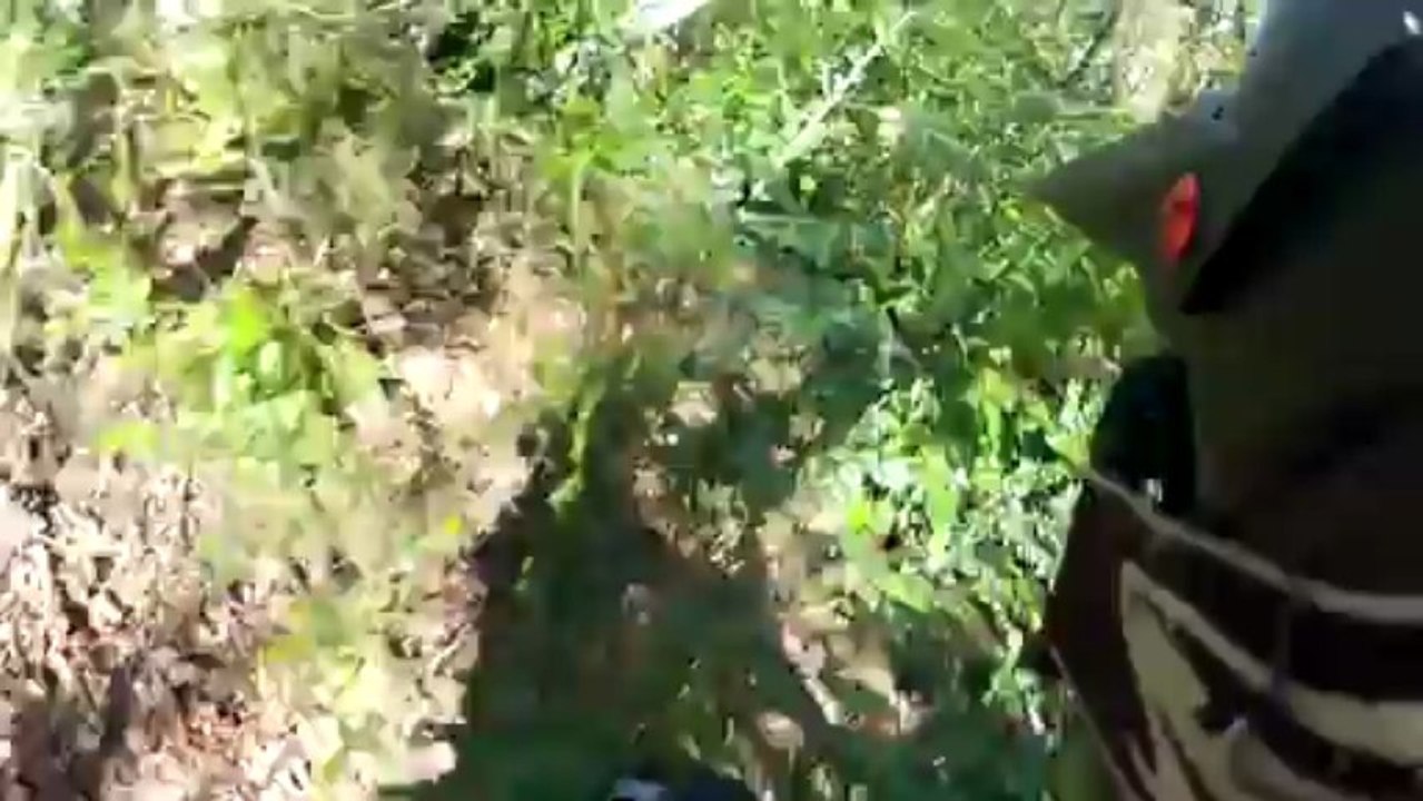 Descente VTT 2.0