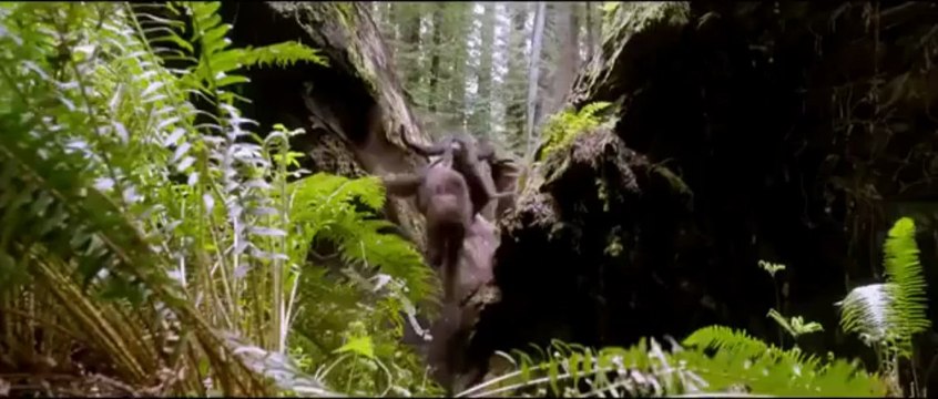 After Earth – Dopo la fine del mondo SCARICA FILM GRATIS