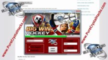 BIG WIN HOCKEY Hack / Pirater / FREE Download June - July 2013 Update ANDROID and iOS
