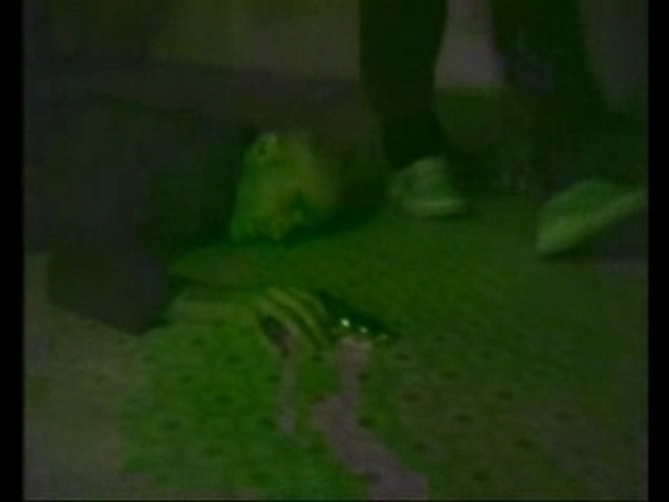 Soirée Reveillon 2000
