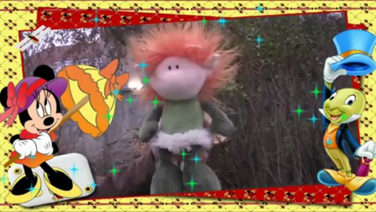 Hunde und Blutgerinnung