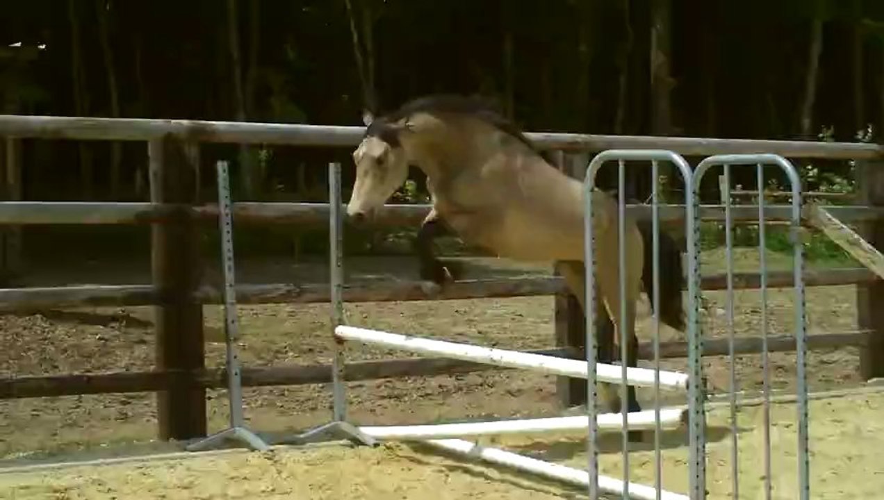 CLIP0099