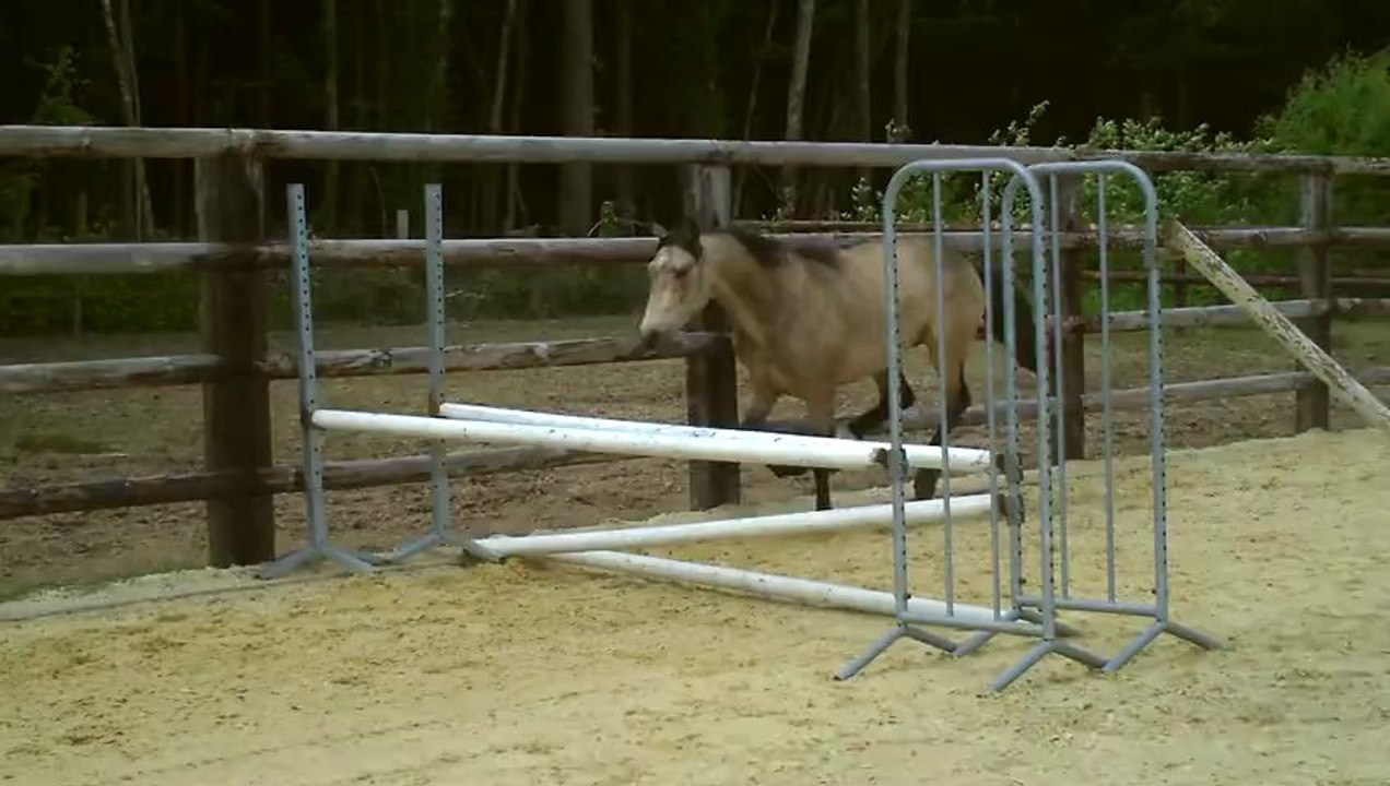 CLIP0101