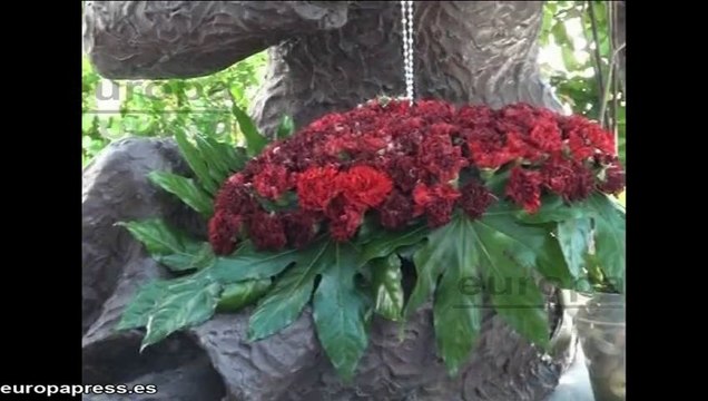 Séptimo aniversario de la muerte de Rocío Jurado