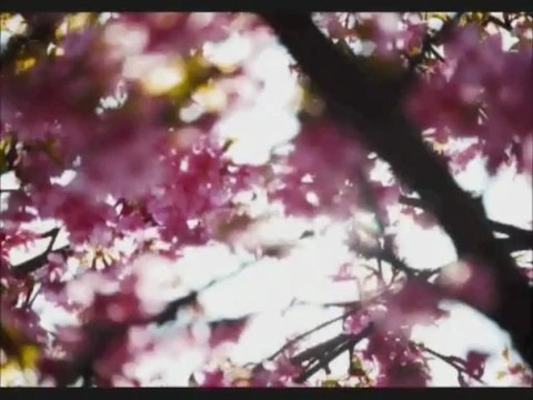 Nasheed arab, italiano, english L'Islàm è amore Mamdouh