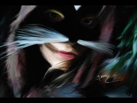 Vidéo de mes peintures