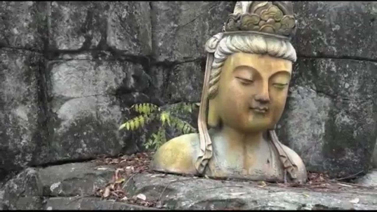 omkar walambe _ Buddha Stock  Video HD