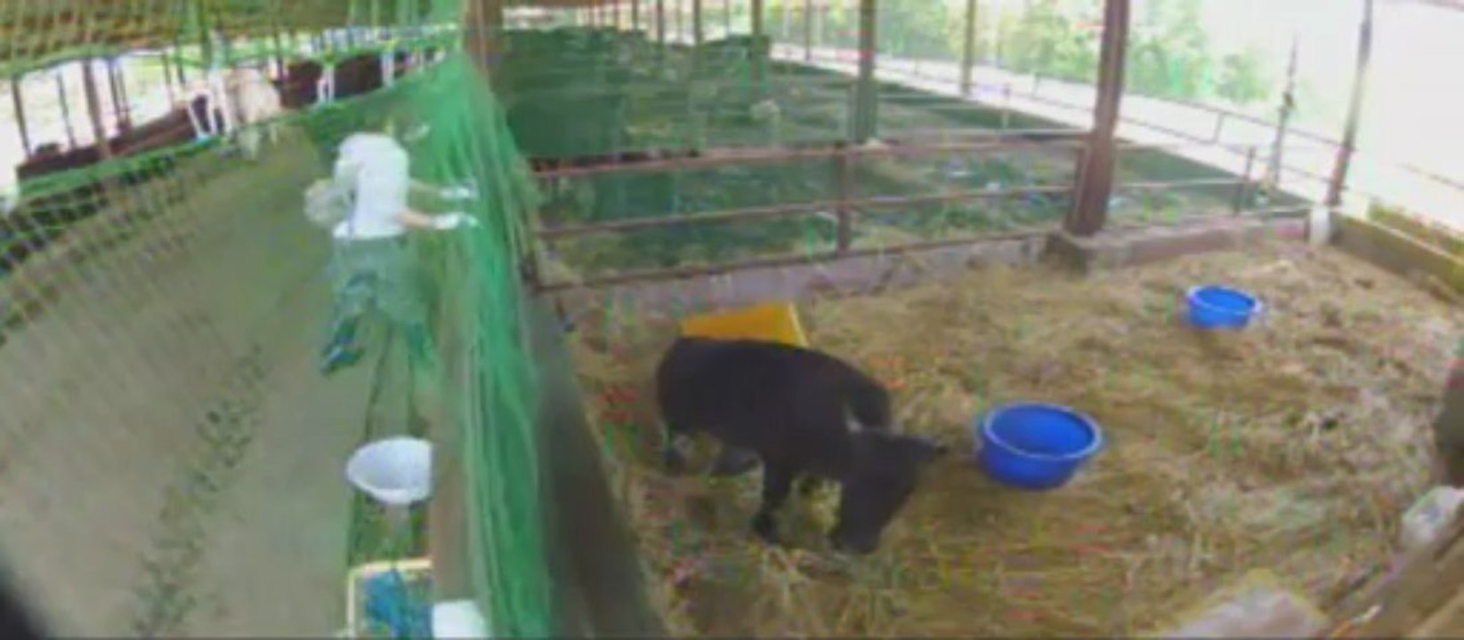 20130531　ぎんちゃん