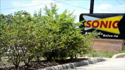 Kino Don Gotti - The City (Prod by Hectic Beatz YP)