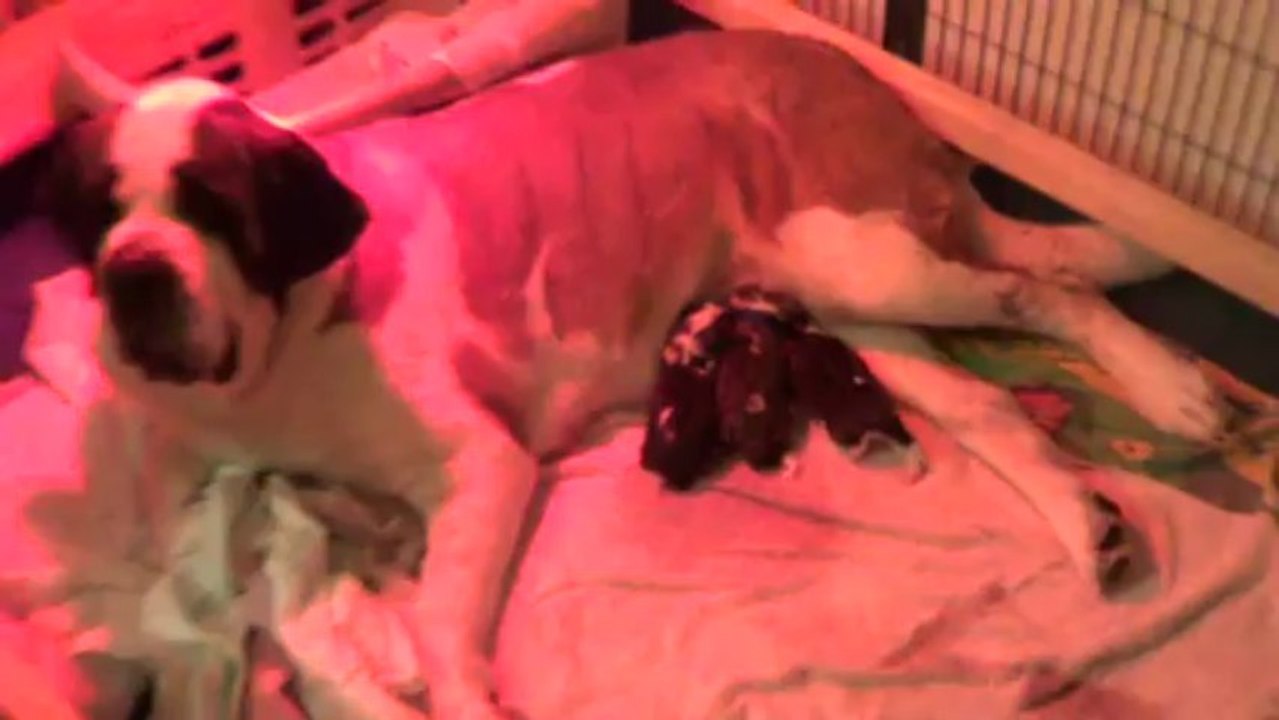 Première tétée 2013-05-23