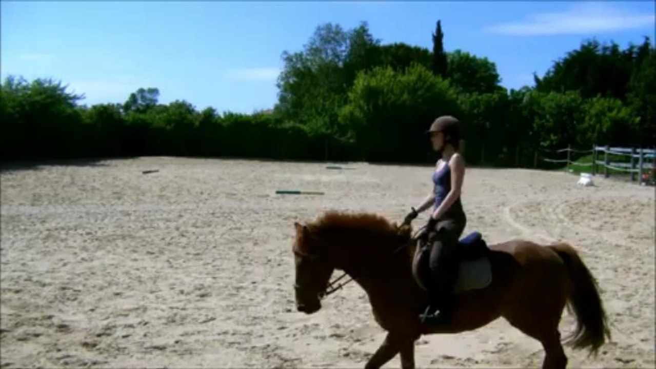 27.05Trot suite 2