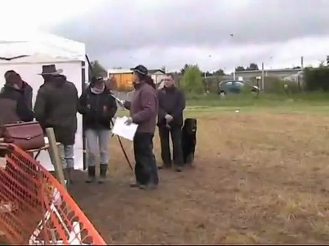 8 éme coupe de France d’obéissance à Gien les 25 et 26 Mai 2013 Faros fini 3éme en classe 1