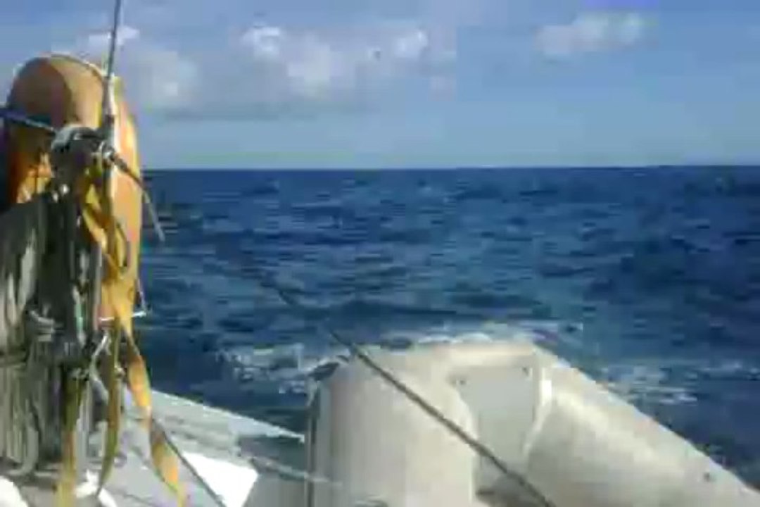 Sur un Lévrier 18, sur la route de Paraty...