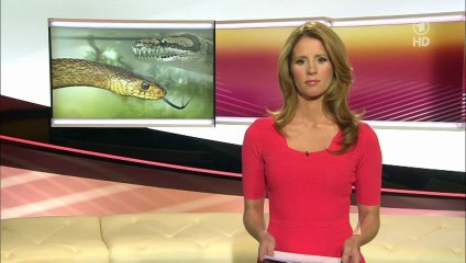 Mareile Höppner  29.05.2013