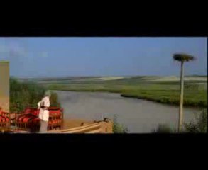 Tarık Tümlü ' den yeni şarkı : Kuşlarım