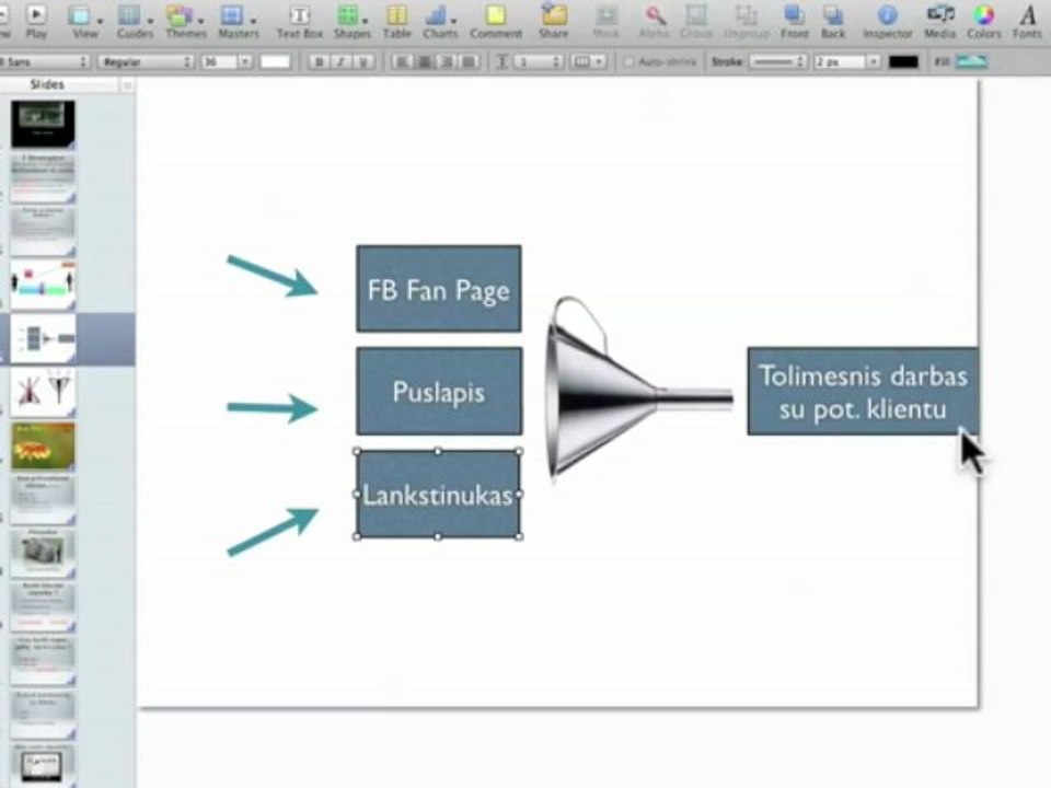 Internetinio Marketingo Strategija naudojant FB Fanų puslapį