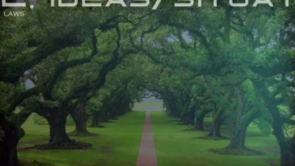 TROM. La Realidad de Mi Ser. 2.8 Leyes