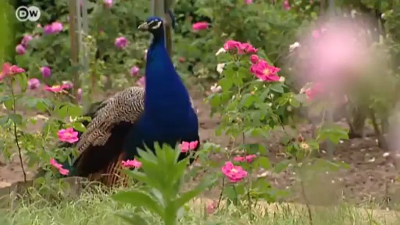 UNESCO Welterbe - deutsche Parks und Gärten | Hin