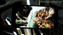 Samsung Galaxy S4 - Hands-on sul telefono e panoramica accessori