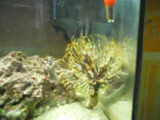 ouverture de la sabelle en 23 secondes