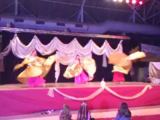 ailes d'isis