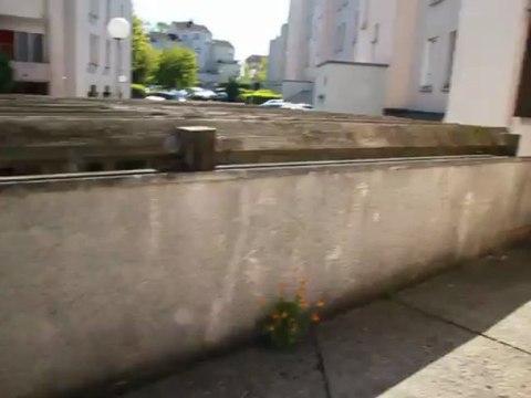 Contre-visite Appartement Lognes