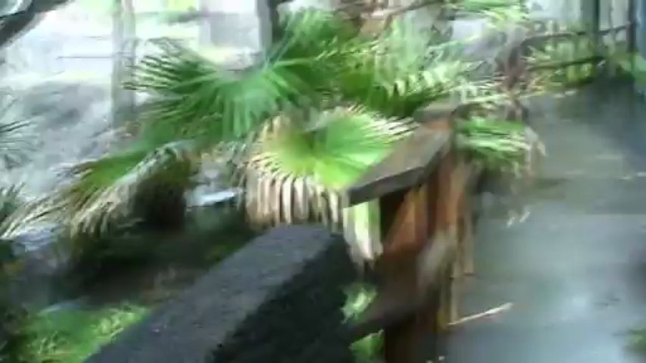 MA CHAMBRE D HOTEL FACE A L OCEAN INDIEN