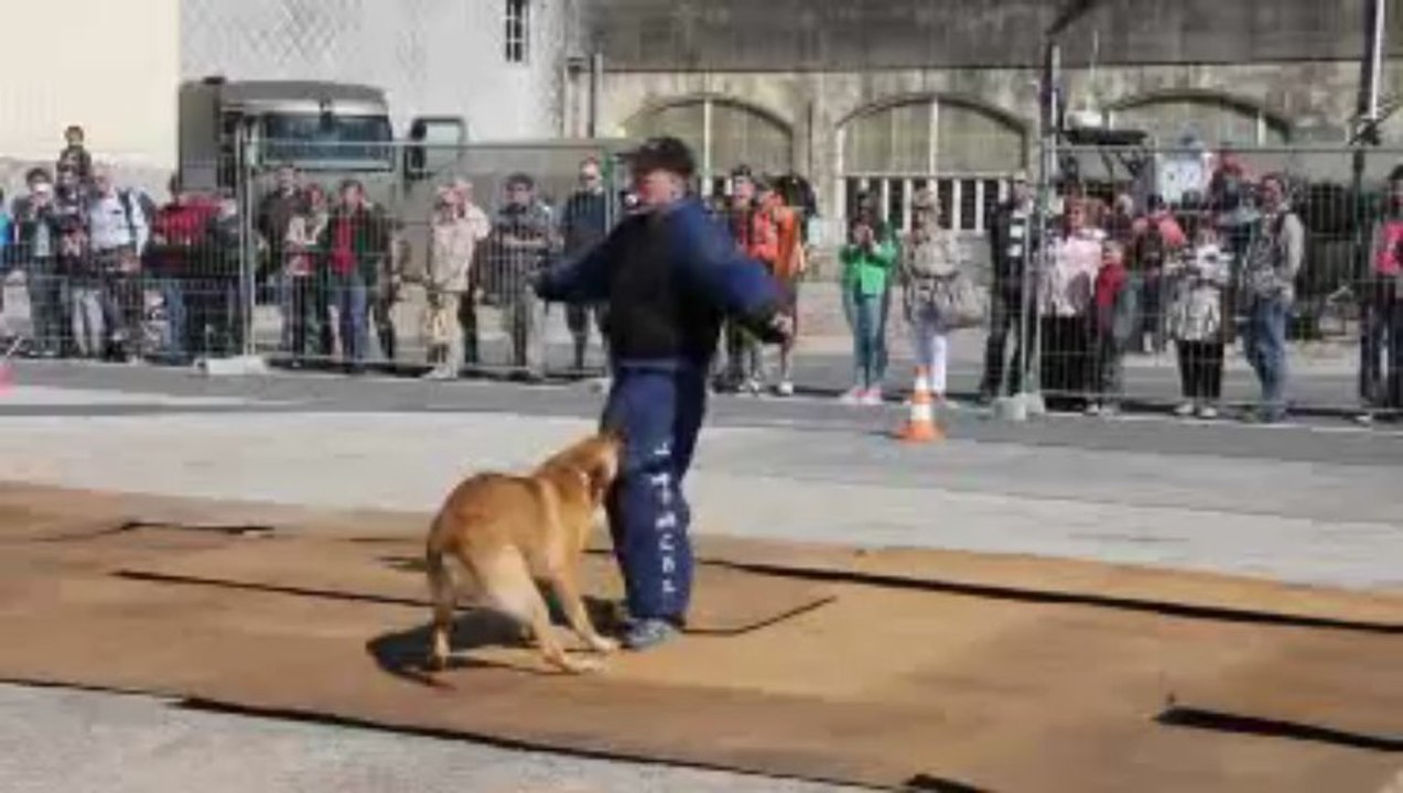 Portes Ouvertes à la Base Navale de Cherbourg