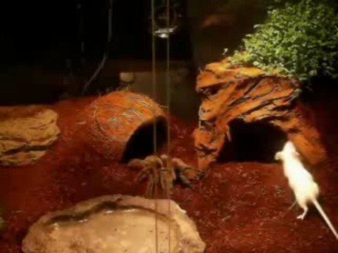 Günlük kiralık daire ev 05426834113 kadıköy sahibinden anadolu istanbul apart daireler pansiyon otel rezidans stüdyo günlük evler daireler kadıköy sahibinde günlük kiralık daireler ev sahibinden