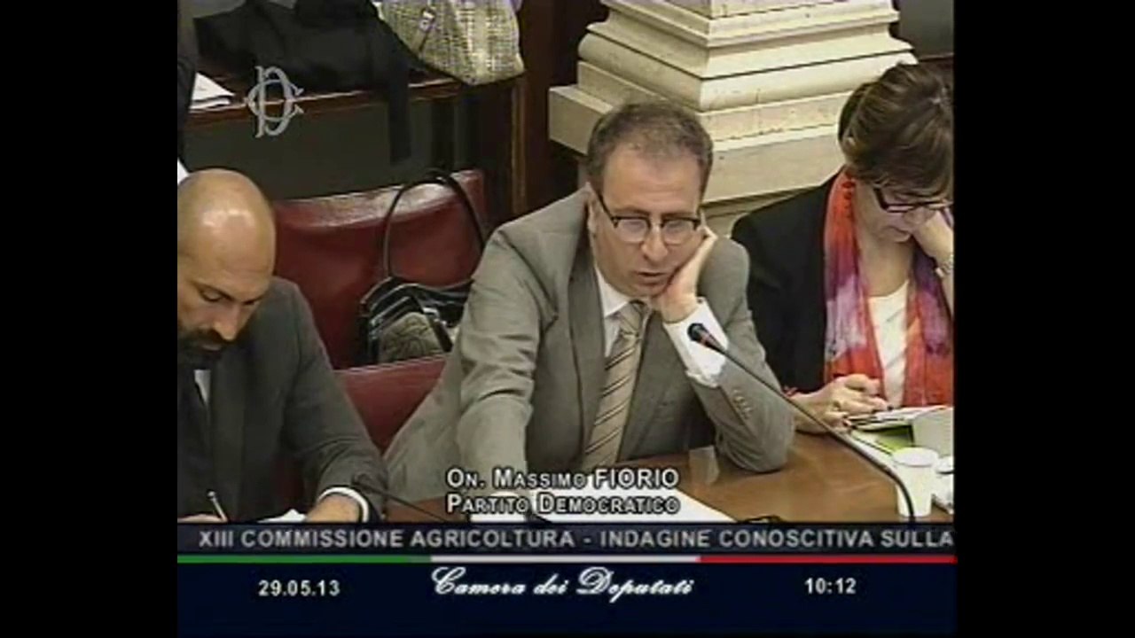 Roma - Expo Milano 2015, l'audizione di Maurizio Martina (29.05.13)