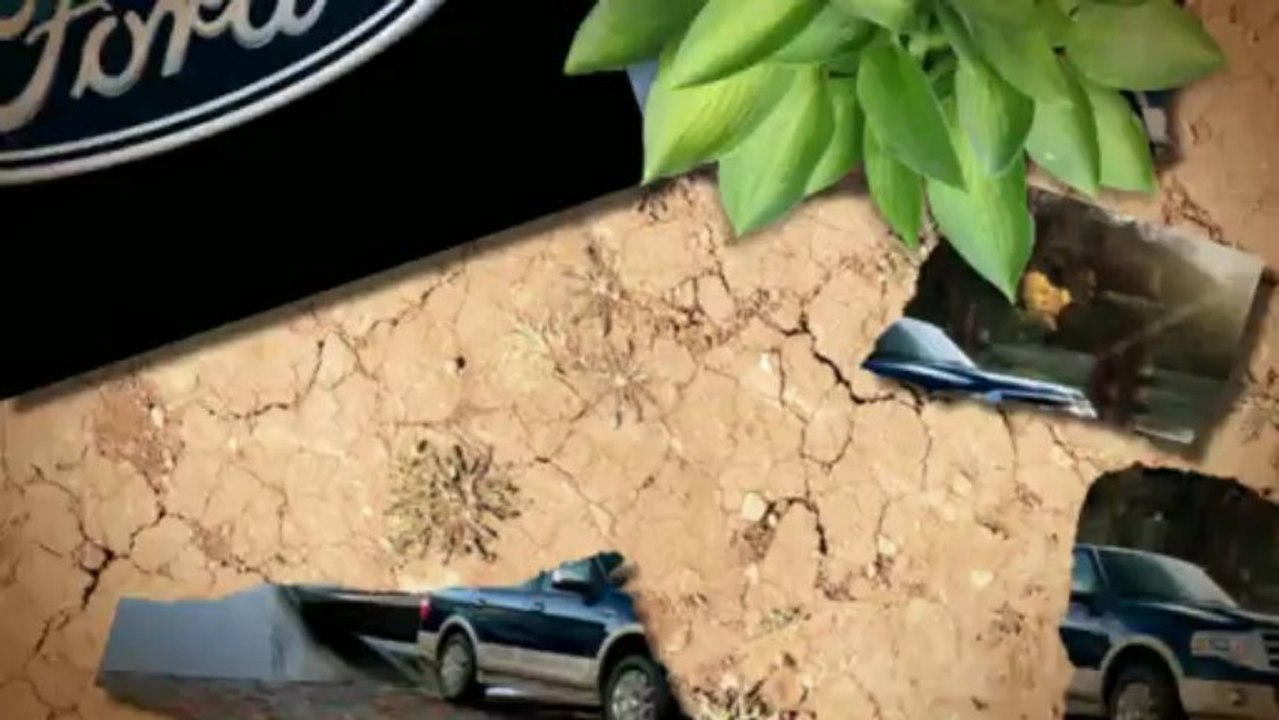 2013 Ford Expedition near Elk Grove at Future Ford of Sacramento