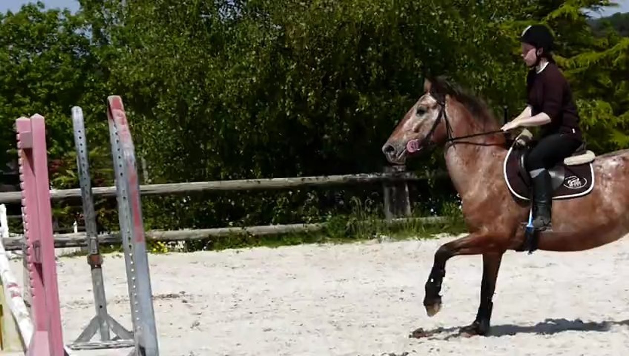 Cheval