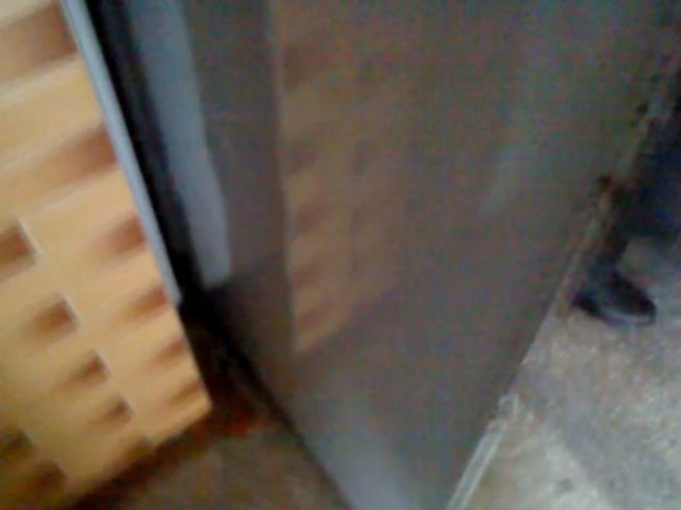 MOV00564