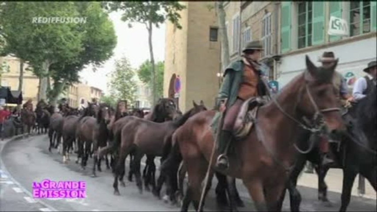 Transhumance, au Domaine de Merle