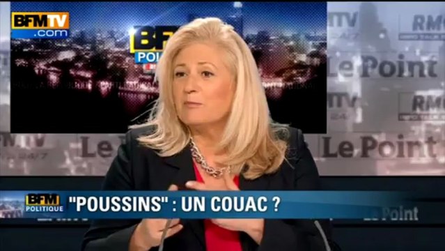 Couacs sur le statut d'auto-entrepreneurs: Désir temporise - 02/06