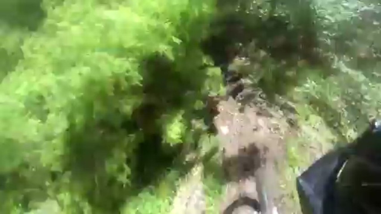 vtt var la chartreuse de la verne, plateau lambert ,collobrieres