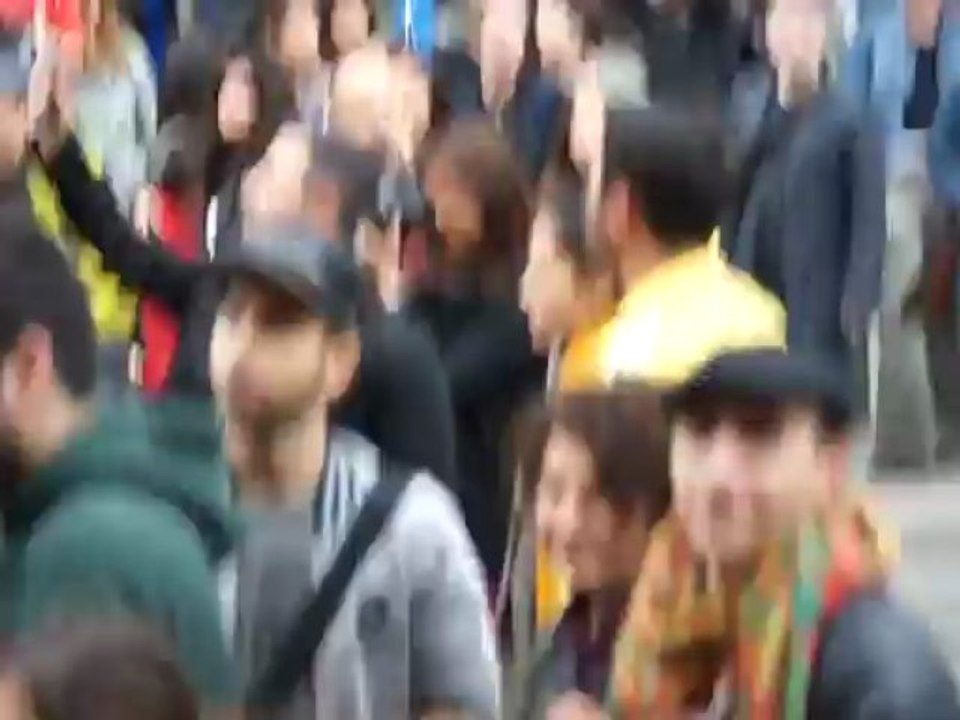 Die Demonstration war vom Veranstalter - einer Einzelperson - als ein Zeichen der Solidarität mit den Aufständischen in Istanbul angemeldet worden.