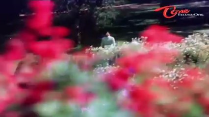 Yuvaraju Songs - Neelala Ningi - ANR - Sujatha