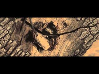 Crystal Fighters zoekt naar oorsprong muziek op Cave Rave