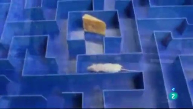 Teoria de la conspiracion: Mensajes subliminales