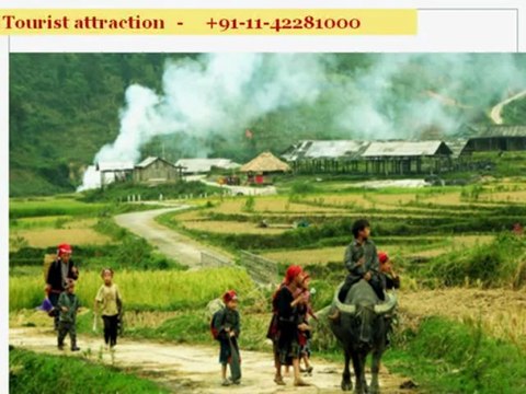 Holidays in Vietnam | Travel to Vietnam | Vietnam Trips from Joy Travels