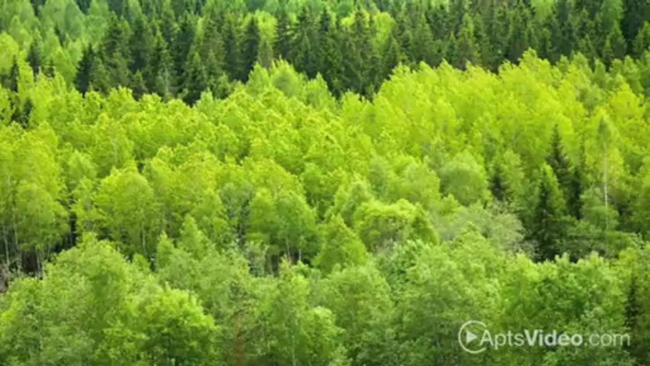 Abbey Woods Apartments in Danbury, CT - ForRent.com